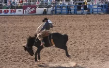 Cowboy riding a bucking bronco at the Tucson Rodeo