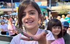 Butterfly Wonderland