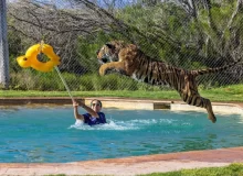 Out of Africa Wildlife Park