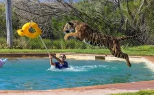 Out of Africa Wildlife Park